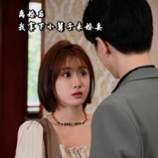 离婚后我拿下小舅子未婚妻第1-20集