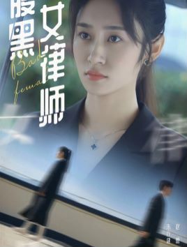 腹黑女律师第1-20集