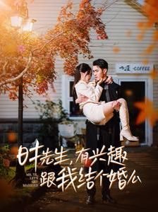 时先生有兴趣跟我结个婚么第21-40集