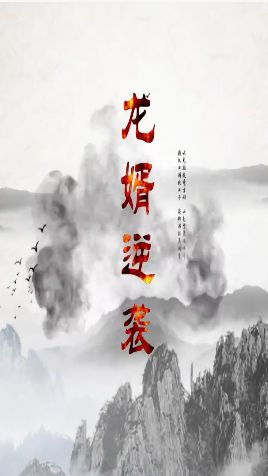 龙婿逆袭第61-70集完结(大结局)