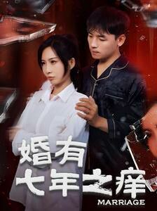 婚有七年之痒第1-20集