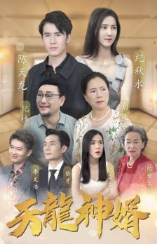 天龙神婿第21-40集