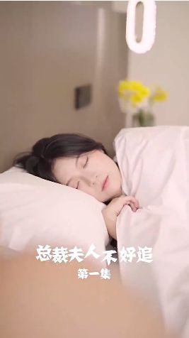 总裁夫人不好追第61-80集