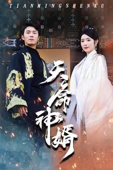 天命神婿第21-40集