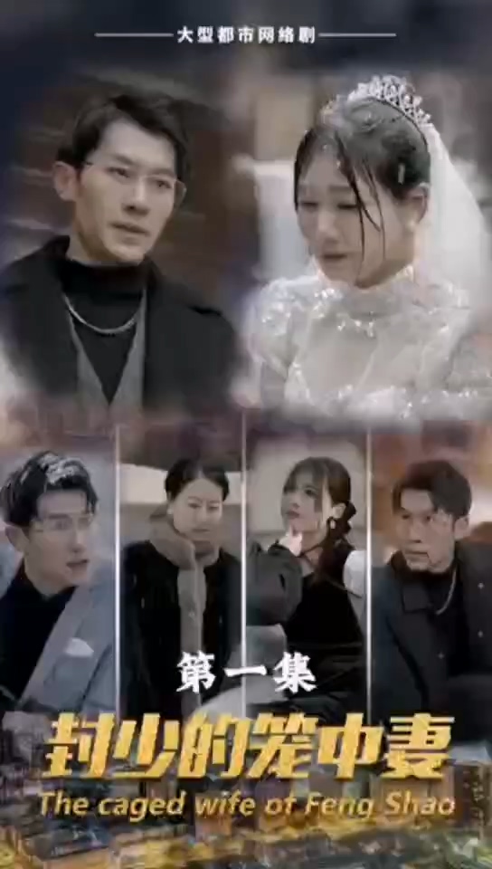 封少的笼中妻第23集